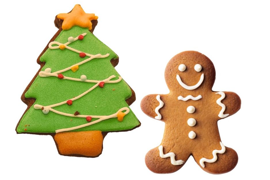 作り人の顔写真